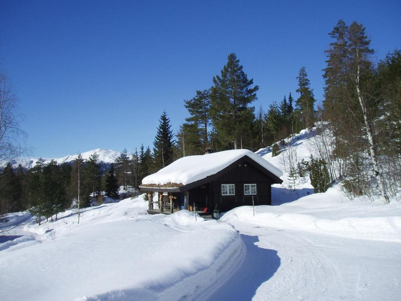 Hogstul Hytter - Skojestua - 2 Bedroom Cottage Tuddal Zewnętrze zdjęcie